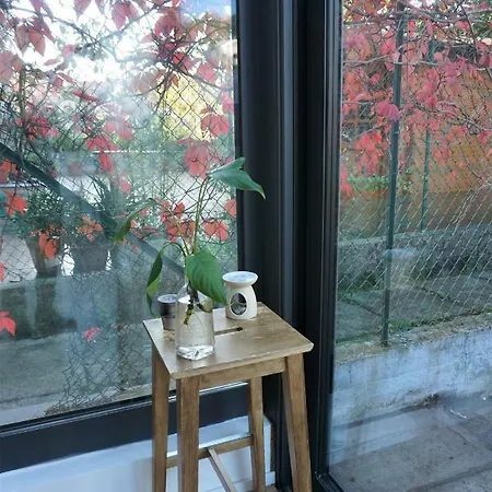 Nest In The * Trieste